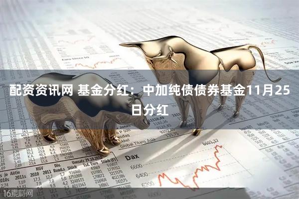 配资资讯网 基金分红：中加纯债债券基金11月25日分红