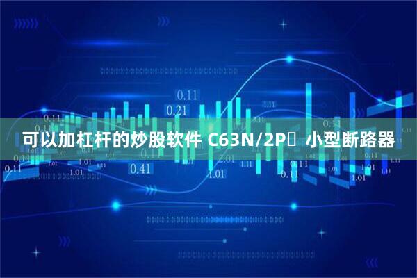可以加杠杆的炒股软件 C63N/2P	小型断路器